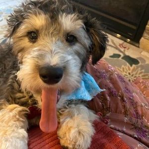 Meet your Posher, Maria